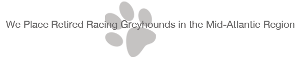 We Place Retired Racing Greyhounds in the Mid-Atlantic Region