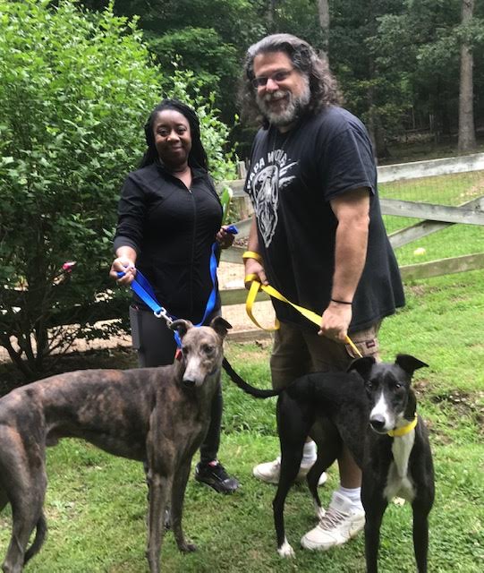 sidekickandrockbarhome Paws on the Mountain Greyhound Adoption